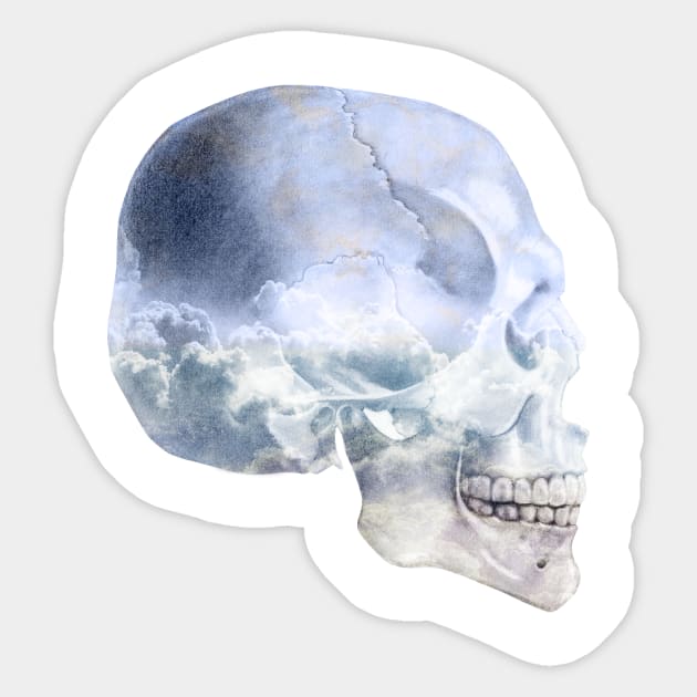 Head/Skull In The Clouds Sticker by SunDaze